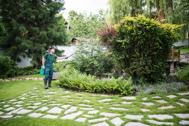 Best Mosquito Control Services  in Wildomar, CA