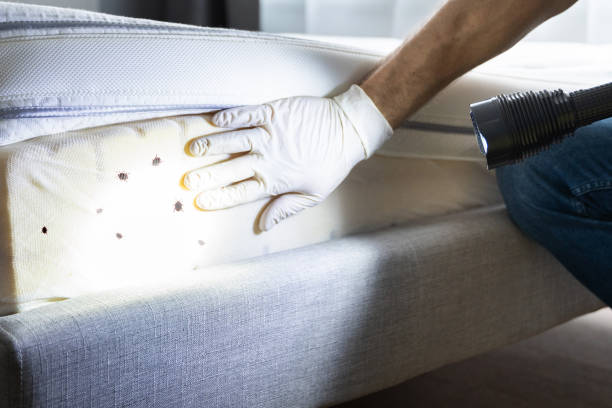 Best Commercial Pest Control Services  in Wildomar, CA