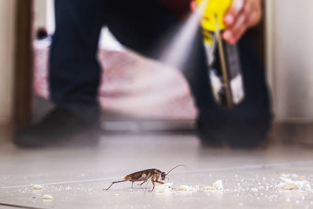 Best Wildlife Control Services  in Wildomar, CA